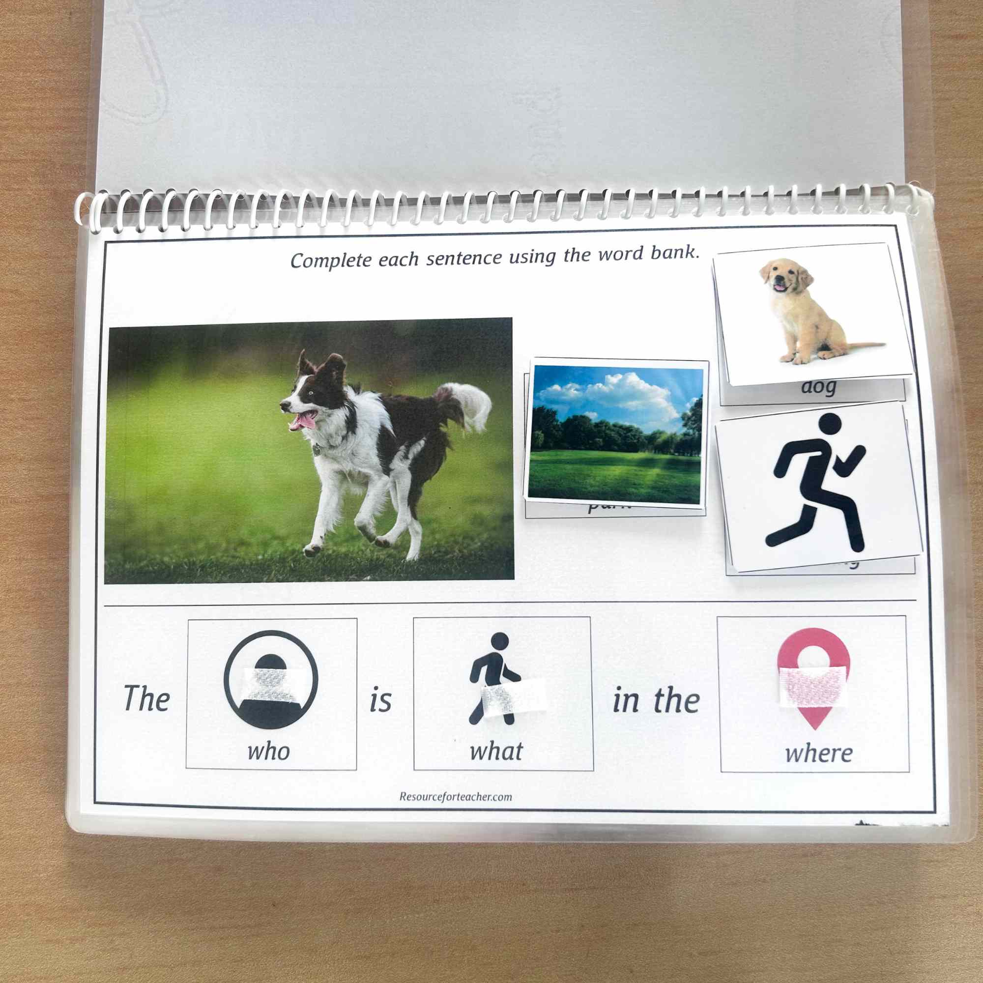 Sentence Building for Speech Therapy - Image 4