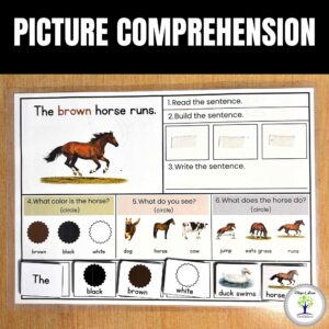 Picture Comprehension Adapted Book for Autism