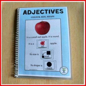 Adjectives Describe It | Adapted Book