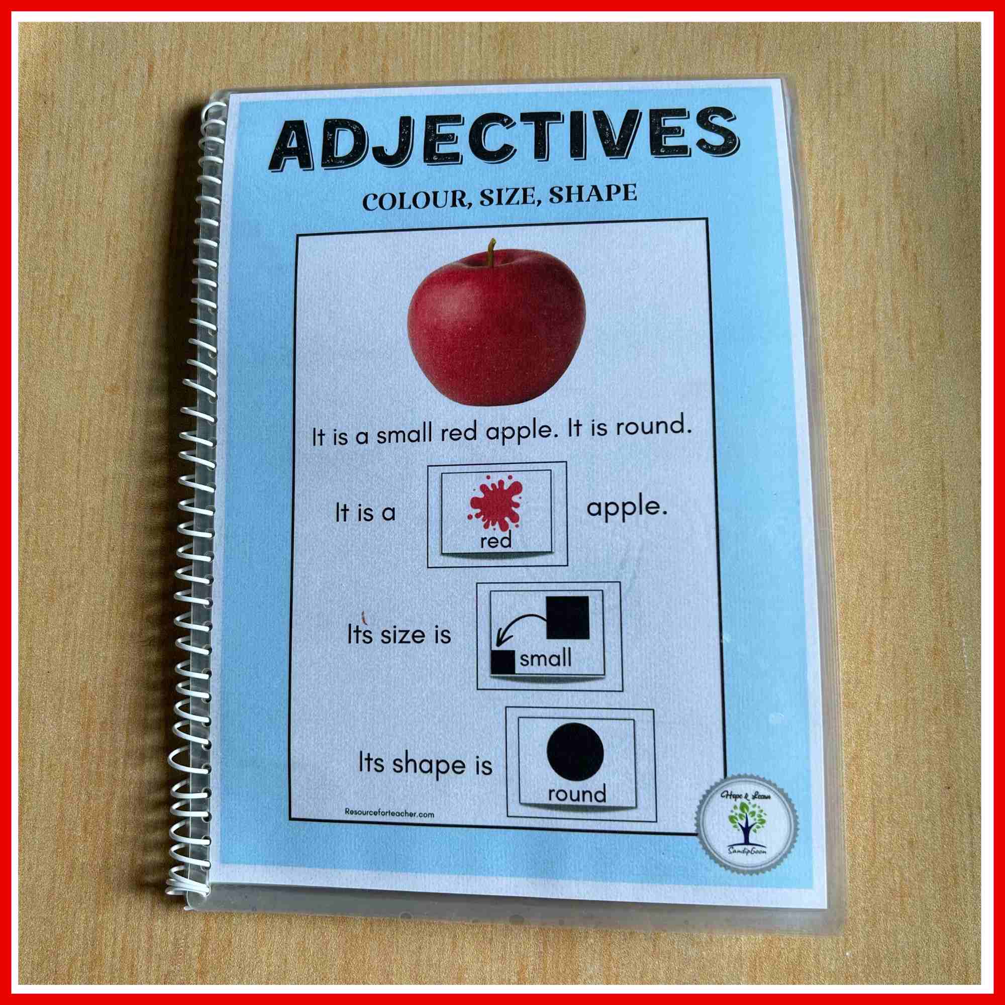 Adjectives Describe It | Adapted Book