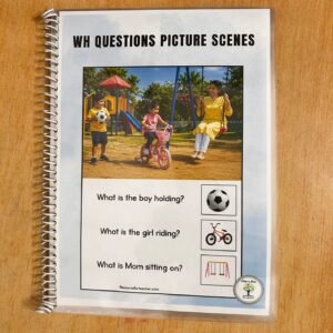 WH Question Picture Scenes