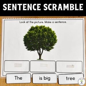 Simple Sentence Scramble Activity