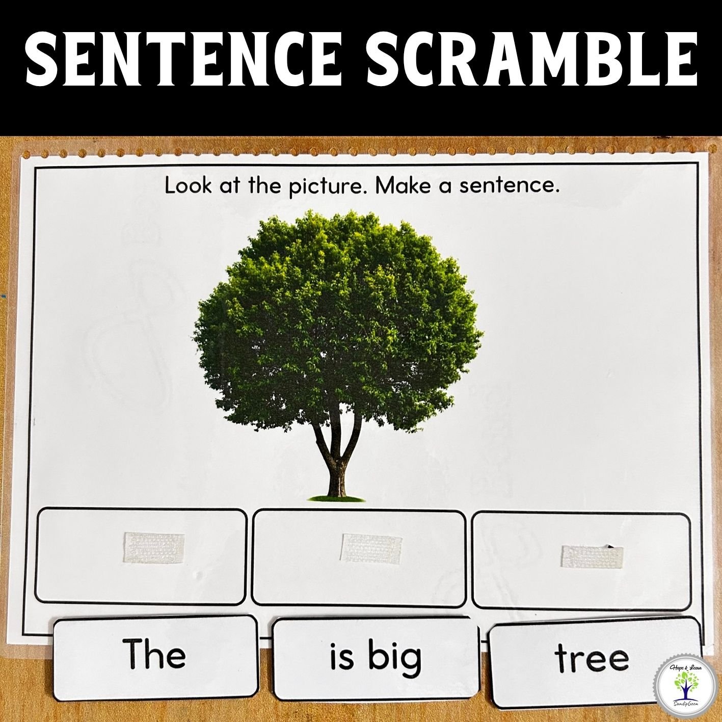 Simple Sentence Scramble Activity