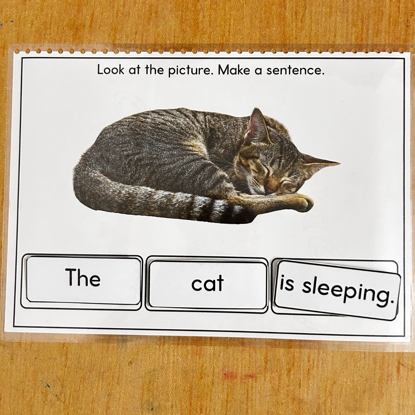 Simple Sentence Scramble Activity for Kindergarten - Image 2